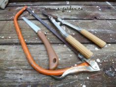 
                    
                        Tree Pruning Tools...
                    
                