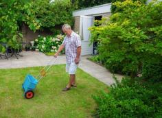 
                    
                        Don't believe the hype. Beer is not a worthwhile homemade fertizlier for lawns
                    
                