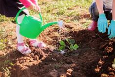 
                    
                        If you want to help your kid cultivate his green thumb, you’ve got to get him some #plants that he can easily care for. Luckily, there are plenty of easy-to-grow plants at your local #gardening store that are perfectly plantable for little hands. #kids www.organicauthor...
                    
                