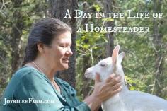 
                    
                        Real Life Homesteading -- Joybilee Farm
                    
                