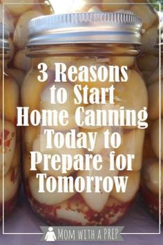 
                    
                        Mom with a PREP | Need a reason to start home canning? Here are 3 to get you started on your way to a PREPared Pantry for your family!
                    
                