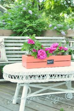 
                    
                        Make an easy flower box from a wood CD crate..... - Jennifer Rizzo
                    
                