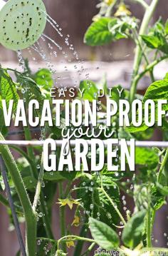 
                    
                        Great gardening tip! Super simple DIY hacks to set up before you leave for vacation to vacation-proof your garden and ensure your plants don't die while you're gone! They take just a few minutes, and will make a world of a difference for your garden! :: DontWastetheCrumb...
                    
                