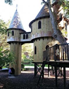
                    
                        Ireland's largest tree house at Birr Castle, County Offaly
                    
                