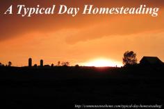 
                    
                        A Typical Day Homesteading - a round robin of posts from 15 different homesteading bloggers sharing a typical day.
                    
                