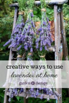 
                    
                        Creative recipes for using lavender like dryer bags, body butter, bath salts, linen spray and even lavender lemonade!
                    
                