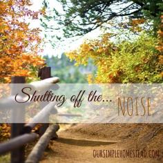 
                    
                        For us a simpler life starts with shutting off the noise and here are a few ways I am bringing that peace into our life.
                    
                