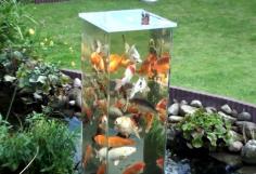 
                    
                        A German man made a cool glass observation tower in the pond, so his koi fish can enjoy a panoramic view of the garden.
                    
                