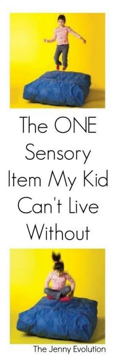 
                    
                        The ONE Must-Have Sensory Item My Son Can’t Live Without (and Neither Can I)
                    
                