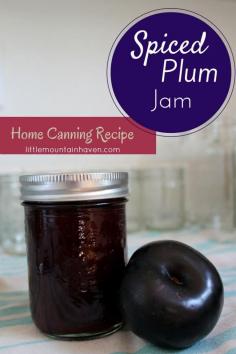 
                    
                        Home Canning Recipe- Spiced Plum Jam. Tastes like Christmas in a Jar!
                    
                
