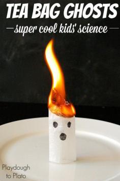 
                    
                        Super Cool Science!! Make tea bag ghosts that really fly. It's so easy - you just need a couple common household ingredients.
                    
                