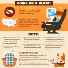 
                    
                        If youre flying with a pet, follow this checklist
                    
                