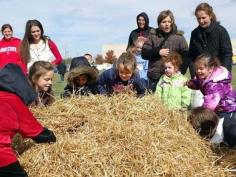 
                    
                        Find the Needle in the Haystack On a budget Party Ideas | Classic Kids Party Ideas For The Homesteading Family | Fun and Cool DIY Outdoor Parties by Pioneer Settler at pioneersettler.co...
                    
                