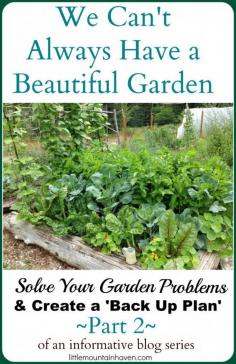 
                    
                        Great Information! Dealing with Gardening Failures & Creating a 'Back Up Plan' (Part 2)
                    
                