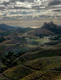 
                    
                        Saddlerock Vineyards of Malibu Family Wines
                    
                