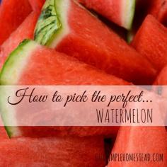 
                    
                        For homegrown watermelons, I look for these three signs on how to pick the perfect watermelon:
                    
                