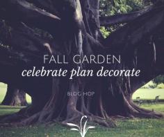 
                    
                        Fall garden Blog Hop with Sensible Gardening and Friendss
                    
                