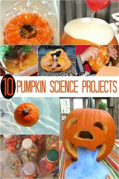 
                        
                            Hands-on science projects for kids using real pumpkins! FUN Halloween science!
                        
                    