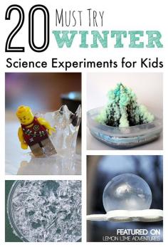 
                    
                        20 Must Try Winter Science Experiments for Kids. Lots of cool science activities in this roundup!
                    
                