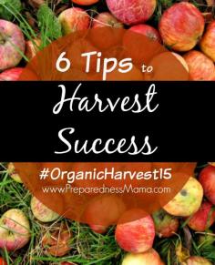 
                    
                        Because a garden is a terrible thing to waste. These 6 handy tips for harvest success will help you plan and keep your harvest going as long as possible. #OrganichHarvest15 | PreparednessMama
                    
                