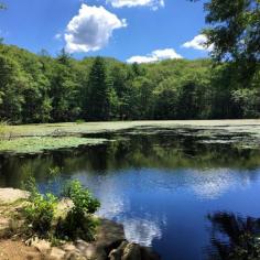 
                        
                            Great 6 mile hike. Dover, MA.
                        
                    