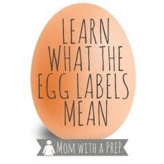 
                    
                        Just what do all those labels all over your egg carton mean? Check out the handy infographic to learn more! // Mom with a PREP
                    
                