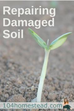 
                    
                        Most of North America's soil has been damaged by poor agriculture and construction practices. Thankfully repairing damaged soil is not incredibly hard or expensive to accomplish.:
                    
                