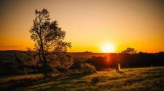 
                    
                        French Countryside Wedding by Nordica Photography + Nisha Ravji (Second Shooter) - via Snippet & Ink
                    
                