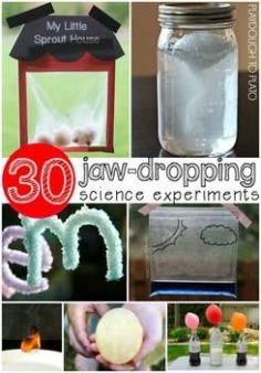 
                    
                        Jaw dropping science for kids. A no-prep science journal plus 30 easy prep science experiments kids love. Such a simple way to add science to the classroom or homeschool!
                    
                