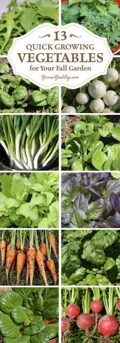 
                    
                        Growing fall vegetables in colder climates can be a gamble, but these crops mature quickly so you can grow more food in your fall garden.
                    
                