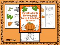 
                        
                            Classroom Freebies: Free Pumpkin Fact Cards and Labeling Activity Packet
                        
                    