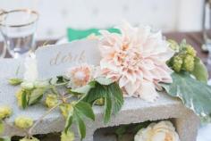 
                        
                            Dahlia table decor: www.stylemepretty... | Photography: Rachel Menig - www.rahelmenigpho...
                        
                    