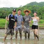 Family rice farming eco-vacation