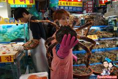 Image result for south korean seafood oyster