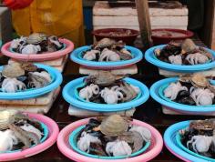 Image result for south korean seafood