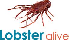 Lobster Alive Gallery