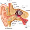 We are dedicated to helping you hear and look after your ears