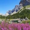 Alpine Slovenia