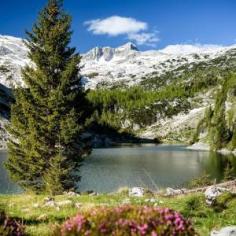 A sunny spring view of Lake Krn with Mt Krn 