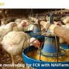 NAVFarm is an effective livestock management software used for Accounting, Tracking Sales, Farming, Purchases, Expenses, Feed Formulation, and Feed Production.