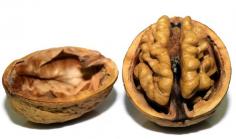  walnut nuts