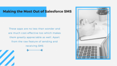  These apps like Salesforce SMS app which is easily available on the Salesforce AppExchange do not cost you up much and are highly effective in saving your time as well.