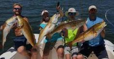 Fishing Trips in Biloxi Mississippi

Want to enjoy your fishing trips in Biloxi, Mississippi with a profitable fishing experience? Then hire fishing charters only from Mississippi Gulf Coast Fishing Charters. They have the best VHF so that you never lose contact with the land. Contact them today to experience the best fishing trips ever. For more information click here: https://www.fishingcharterbiloxi.com/index.php/trips