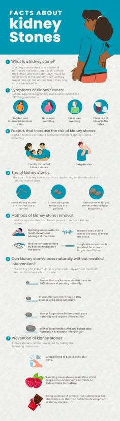 Facts About Kidney Stones

Kidney stones affect millions worldwide. They come in various sizes, from sand to golf balls! The first recorded case goes back to an Egyptian mummy in 4,800 BCE. Diet plays a role—high salt, protein, and oxalate foods increase risk. Men are more prone, but it can happen to anyone. Passing stones is famously painful, so stay hydrated, eat well, and prevent the rocky road!

If you have been experiencing the symptoms of kidney stones, don't hesitate to visit a clinic in Singapore for proper diagnosis or kidney stones removal.