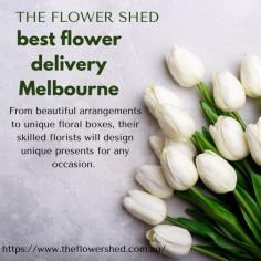 Experience the joy of sending and receiving gorgeous blooms with Flower Delivery in Melbourne by The Flower Shed. Our handcrafted bouquets make perfect presents for birthdays, anniversaries and thoughtful gestures - our experienced florists ensure prompt and stunning arrangements! Let our reliable flower delivery service bring joy into someone's day and spread happiness throughout Port Melbourne.