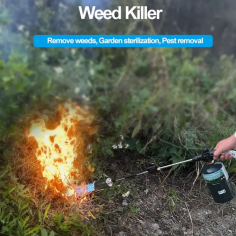 USING TORCH TO KILL WEEDS
https://www.gas-torch.net/using-torch-to-kill-weeds/