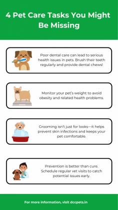 As pet parents, we all strive to keep our furry friends healthy and happy. However, in the hustle and bustle of daily life, it’s easy to overlook certain aspects of their care. While feeding, grooming, and regular vet visits are commonly practiced, there are some less obvious tasks that are equally important for your pet’s well-being. In this blog, we’ll discuss six essential pet care tasks that many pet owners often overlook, but should definitely be part of your routine.For bookings and inquiries, reach out to us at 9311560101 or dccpets.in.
