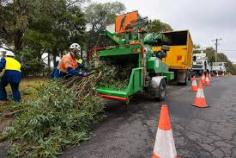 Looking for reliable tree services in Sydney? Our skilled arborists offer expert tree removal, pruning, stump grinding, and land clearing for residential and commercial properties. We ensure safe, efficient, and fully insured services that enhance your landscape's beauty and safety. Contact us today for trusted tree services in Sydney.
0406 069 696