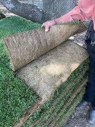 Discover the magic of Marathon® Sod from SouthlandSodFarms – a trusted name in the Southern California turf industry. Known for its rich green color, dense texture, and year-round performance, Marathon® is perfect for active families and public landscapes alike. SouthlandSodFarms grows and delivers sod directly from their premium farms, ensuring freshness and quality. Each roll of turf is climate-adapted and disease-resistant, providing the foundation for beautiful, lasting lawns. Upgrade your yard with Marathon Sod and experience true outdoor comfort and beauty.
